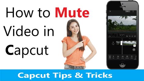 How To Remove Sound From A Video In CapCut How To Mute Clip Audio On