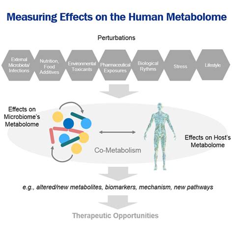 The Human Microbiomes Metabolome Center For Innovative Technology