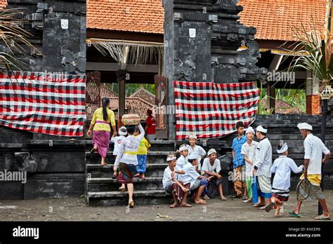 People wearing traditional Balinese clothing go to a local temple near ...