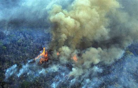 Un Récord En 12 Años La Amazonia Brasileña Registró 33 316 Focos De Incendio En Agosto El Debate