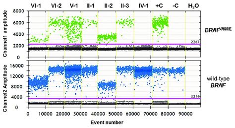 Detection Of BRAF V600E In The Fine Needle Aspiration Biopsy Material