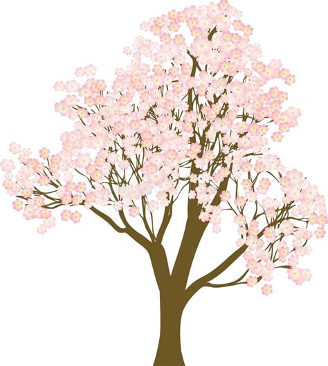 L Arbre De Sakura A Fleuri Au Printemps Illustration Stock Illustration Du Path Fruit 17843666