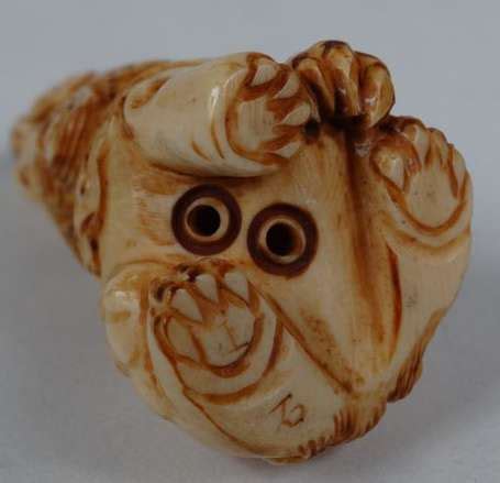 Eléphant Netsuke en ivoire Vente aux enchères Art dAsie