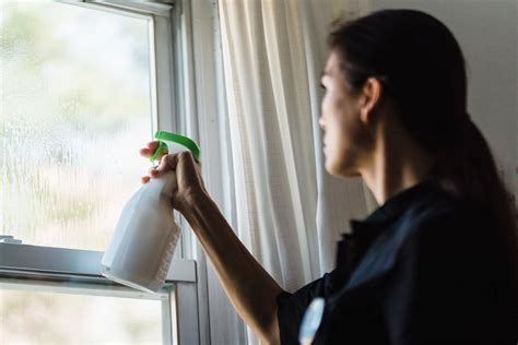 How Often Should You Clean Your Windows