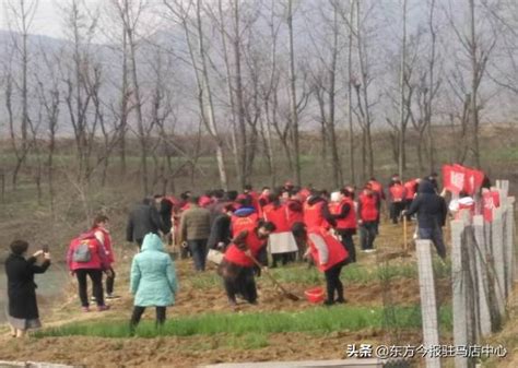 發展產業扶貧出實效 真情暖民心 每日頭條