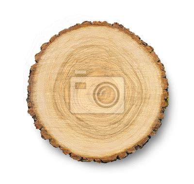 Gro Es Kreisf Rmiges St Ck Holz Querschnitt Mit Baum Ring Textur