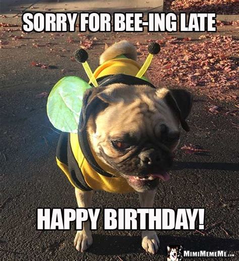 35 Best Happy Belated Birthday Memes SayingImages Happy Belated