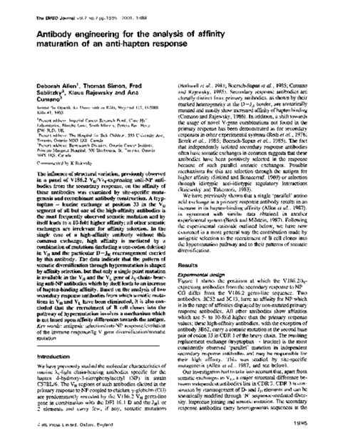 (PDF) Antibody engineering for the analysis of affinity maturation of an anti-hapten response ...