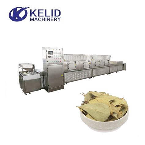 Automatic Tunnel Type Microwave Dryer Bay Leaf Sterilization Machine China Tunnel Type