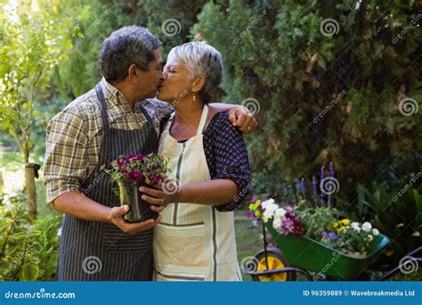 Romantic Senior Couple Kissing Each Other Editorial Stock Image Image