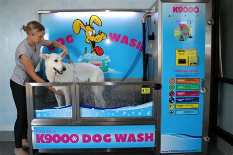 Dog Washing Station Firm To Celebrate Opening Us Hq In Wilmington