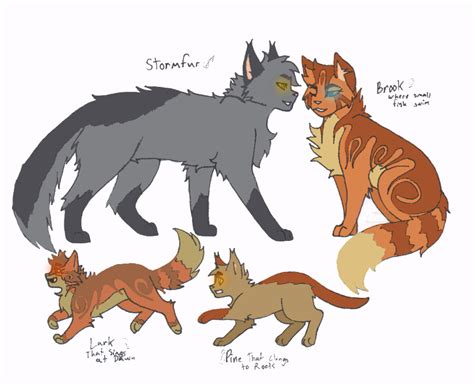 Stormfur x Brook by Tazzy-girl on DeviantArt