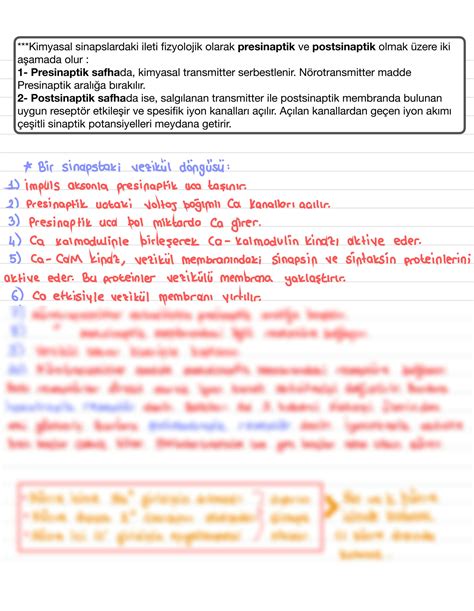 Solution Sinir Sistemi Ve Duyu Organlar Fizyolojisi Nervous System