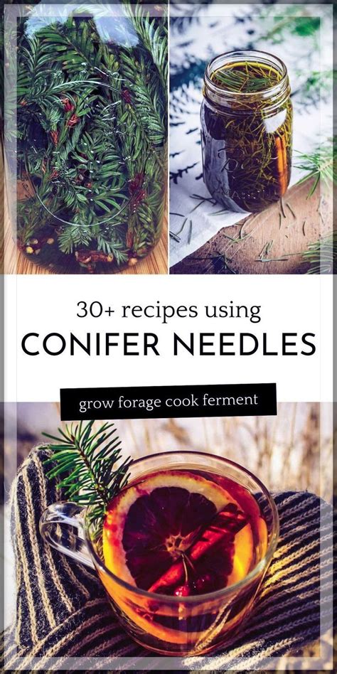 A Collage Of Photos Showing Different Types Of Conifer Needles And How