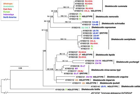 Phylogenetic Tree From Ml Analysis Of The Tef1 Dataset Bootstrap Download Scientific Diagram