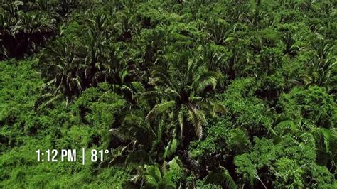 Naked And Afraid Season Trakt