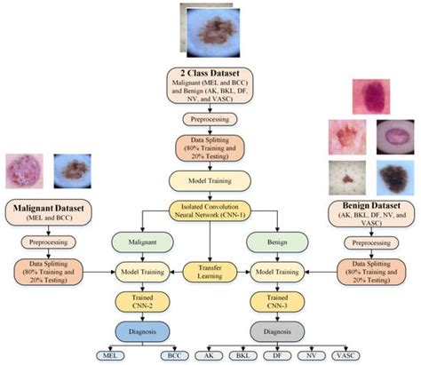 Enhancing Skin Lesion Detection A Multistage Multiclass Convolutional