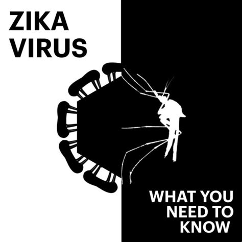 Zika Virus In Seconds What You Need To Know Today