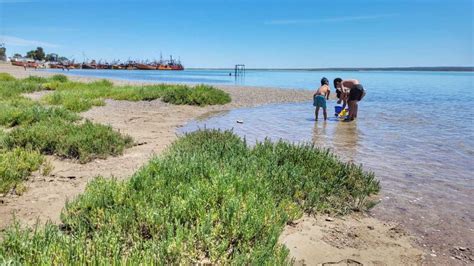 Beach Boats And Fresh Seafood In San Antonio Oeste Archyde