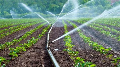 ¿cÓmo Mejorar El Uso Eficiente Del Agua En La Agricultura Revista