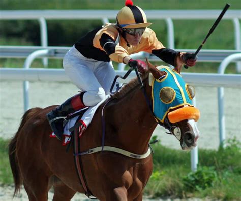 The Importance of Jockeys in Horse Racing - Let's Get Some Winners!