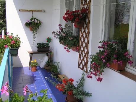KVĚTINKY PRO RADOST - Fotoalbum - Balkon - Květiny na balkoně - balkon 2009