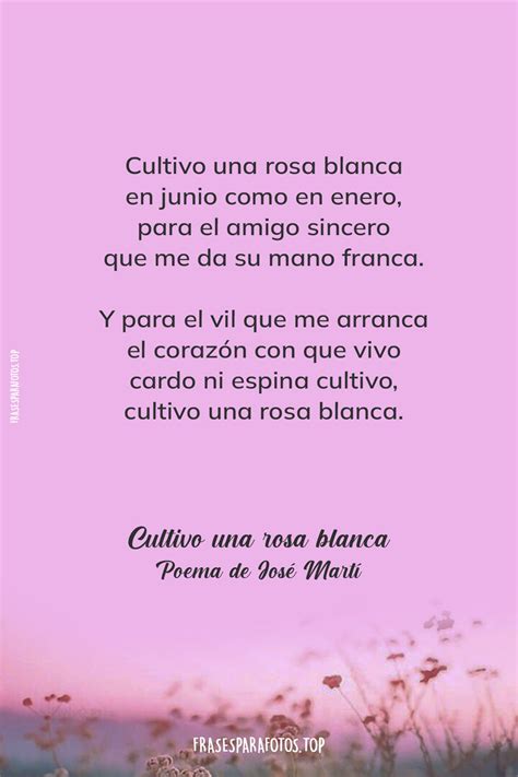 Poemas De Amistad Para Mejores Amigos Y Amigas