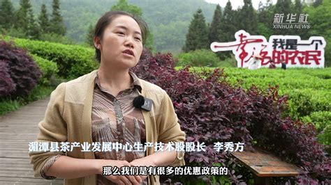 贵州湄潭：“绿叶子”变“金叶子”茶产业发展赋能乡村振兴凤凰网视频凤凰网