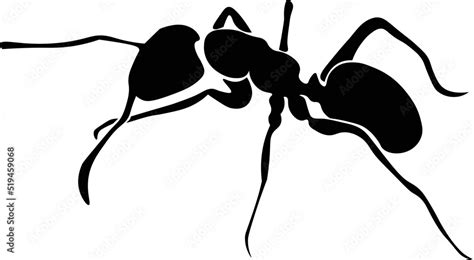 Black and White Cartoon Illustration Vector of an Ant Animal Stock Vector | Adobe Stock