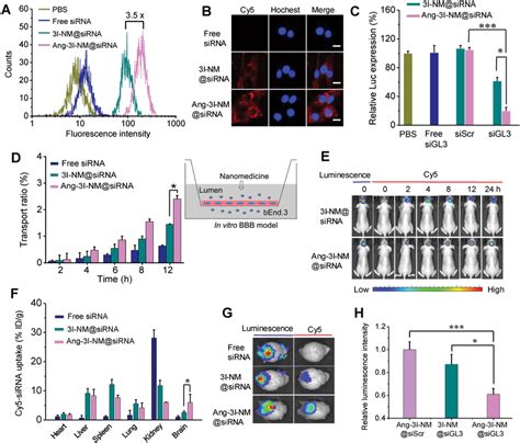 Assessment Of Ang‐3i‐nmsirna To U87mg Cells And In Vivo Tumor A Flow