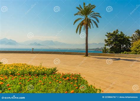 Antalya Turkey Landscape In Karaalioglu Park With A Palm Tree In The