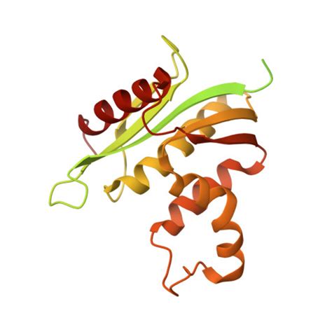 Rcsb Pdb Vrd Crystal Structure Of Rnase H Rna Ps Aso Complex At An