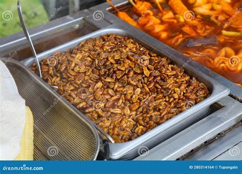 Beondegi Street Food In Busansouth Korea Stock Image Cartoondealer