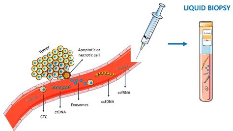 Early Detection Of Circulating Tumor Dna Medicircle