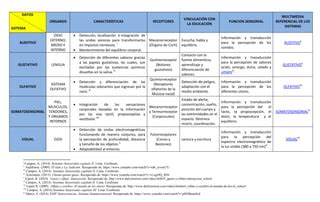 Cuadro Doble Entrada Dimensiones Sensoriales Ppt