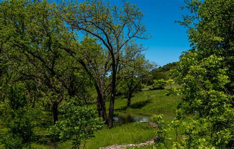 Wallpaper Greens Summer The Sky Grass The Sun Trees Stream Usa