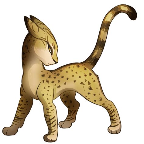 Leopardstar by Draikinator on DeviantArt