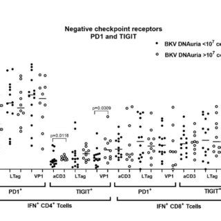 Pretransplant Non Specific And Bkv Specific T Cell Response In Hsct