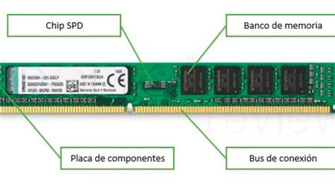 Cómo liberar la memoria RAM de mi PC Windows 10