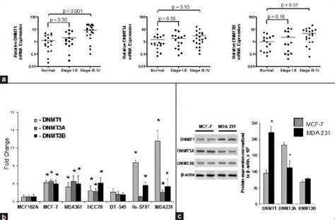 Expression Of DNMT1 DNMT3A And DNMT3B In Human Breast Tissues And