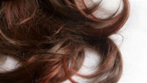 Des cheveux pour lutter contre la marée noire