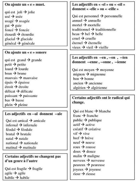 Laccord De Ladjectif Qualificatif Basic French Words French Phrases How To Speak French