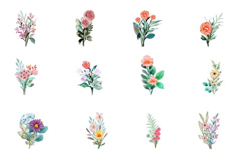 Watercolor Flower Elements Free Best Flower Site