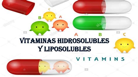 Vitaminas Hidrosolubles Y Liposolubles Elibert Perez UDocz