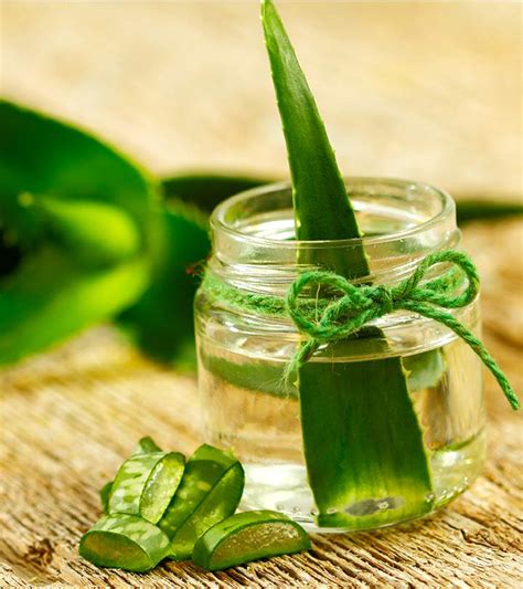 Aloe Vera In Cucina E Non Solo Ecco Tutti I Suoi Benefici Misya