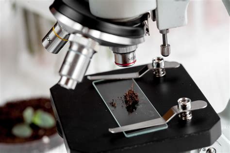 Analysis Of Soil Samples Under Microscope Aur A Agrosciences