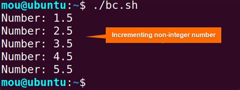 How To Increment Number Using Bash While” Loop 8 Methods Linuxsimply