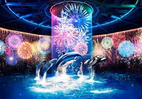 写真1 6花火アクアリウム バイ ネイキッド水族館アクアパーク品川で花火が彩る夜のイルカショー ファッションプレス