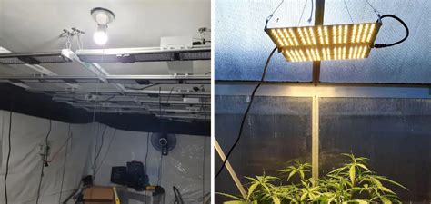 How To Hang Grow Lights In Tent Easy Processes