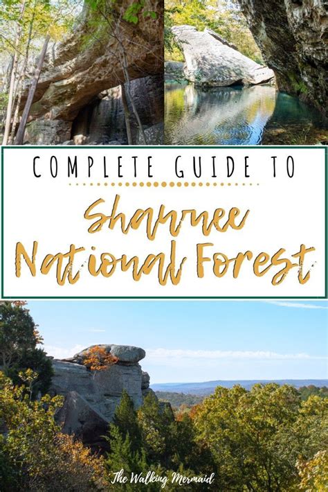 Exploring Shawnee National Forest In Illinois Shawnee National Forest